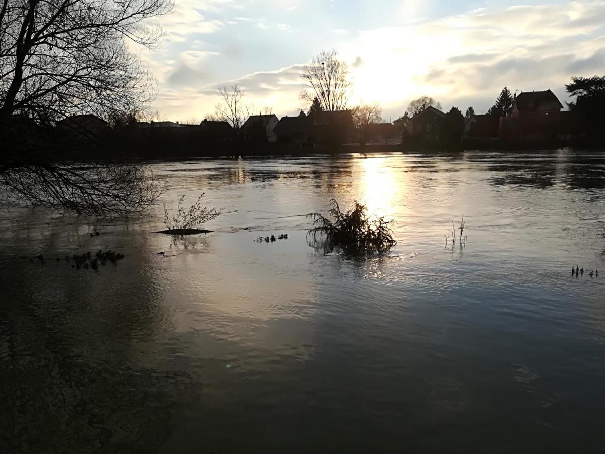 Les Pingouins De La Marne Bed & Breakfast Le Perreux-Sur-Marne Exterior photo
