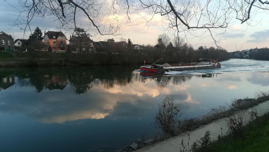 Les Pingouins De La Marne Bed & Breakfast Le Perreux-Sur-Marne Exterior photo